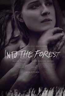 دانلود فیلم Into the Forest 20159776-1056739965