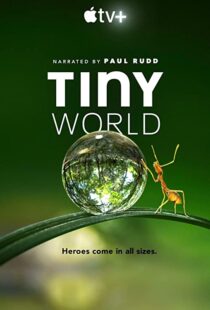 دانلود مستند Tiny World52124-1364474465