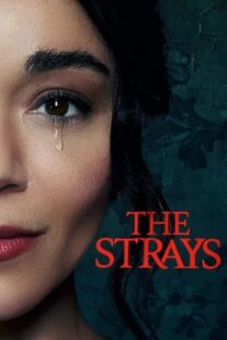 دانلود فیلم The Strays 2023321987-2042187382