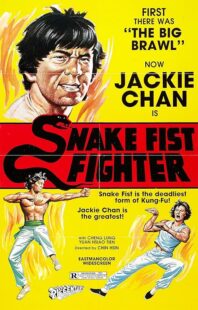 دانلود فیلم Snake Fist Fighter 1973388650-503938233