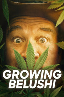 دانلود سریال Growing Belushi400424-1788738520