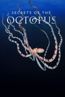 دانلود سریال Secrets of the Octopus401286-104847094