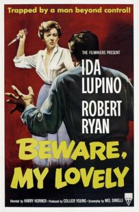 دانلود فیلم Beware, My Lovely 1952420627-400813710