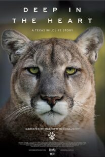 دانلود مستند Deep in the Heart: A Texas Wildlife Story 2022421545-896177917