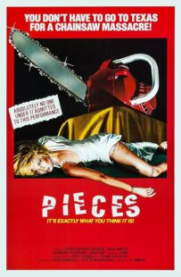 دانلود فیلم Pieces 1982422164-714930356