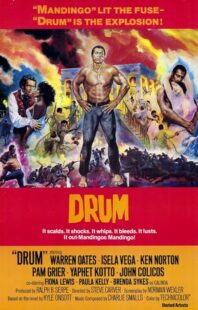 دانلود فیلم Drum 1976423508-558280547