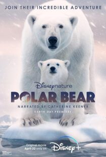 دانلود مستند Polar Bear 2022422974-1809137554